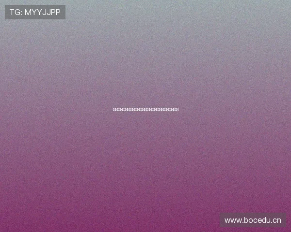 小蜘蛛软件助力企业智能化管理提升工作效率与数据分析能力